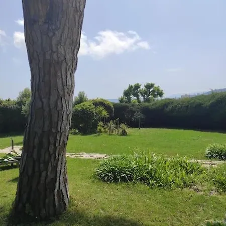 Mas Provencal De Caractere Avec Vue Villa Antibes
